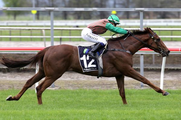 One Thousand Guineas assignment on the horizon for Travelling Light