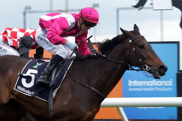 Fresh True Enough takes Spring Sprint