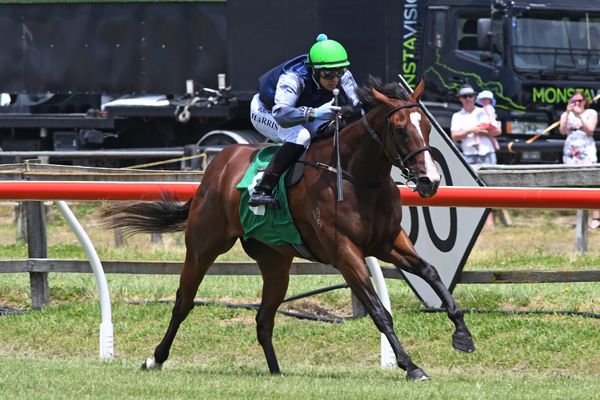 Coupland’s Mile target for Vigor Winner