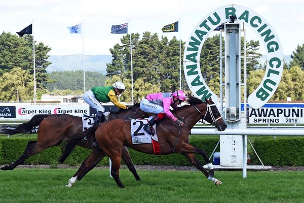 Wyndspelle makes Melbourne spring carnival return
