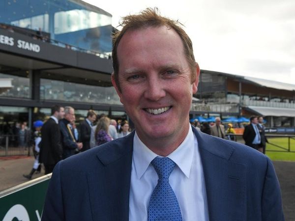 Hawkes says colt worthy of Bondi test