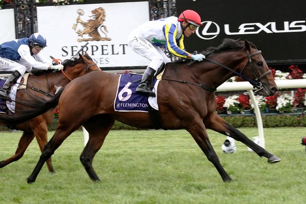 Banquo chases Newmarket win for Kiwi owners