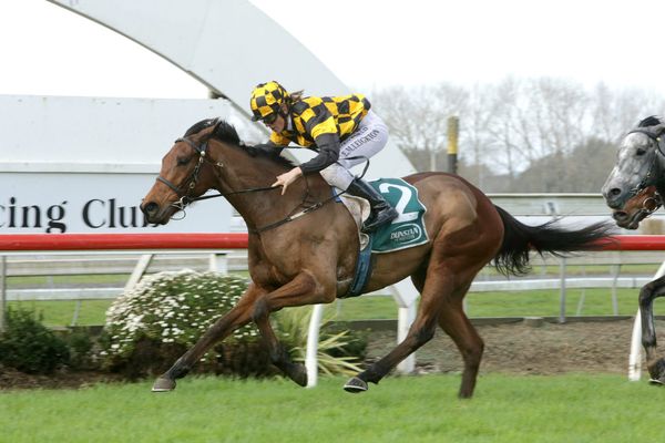 Blue Breeze to tackle Counties Cup first-up
