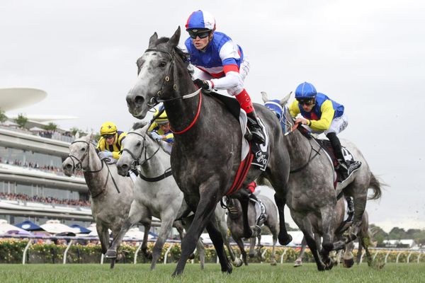 Bumper  Blast gets Subzero win