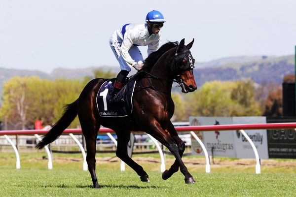 Faultless preparation for Guineas favourite