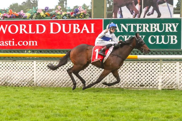 Catalyst clinical in 2000 Guineas victory.