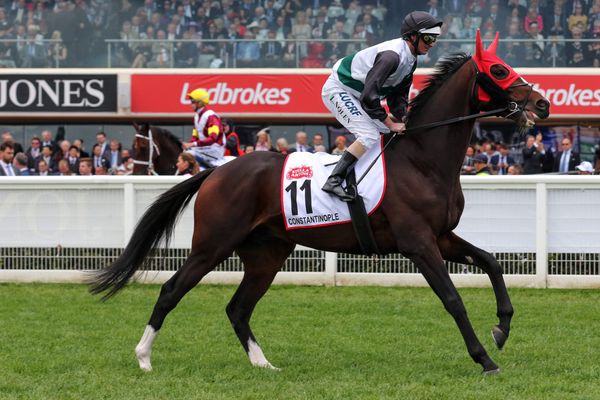 Mackenzie hoping for a Kiwi slice of Melbourne Cup glory