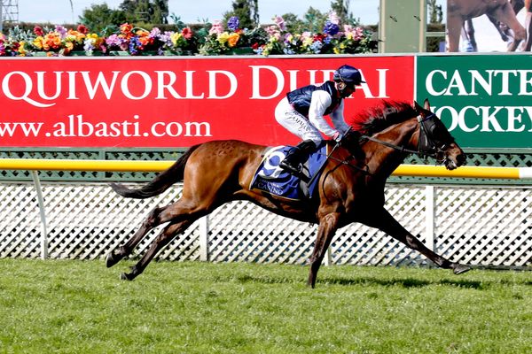 Corbett and Charles’ rocky road to New Zealand Cup bid