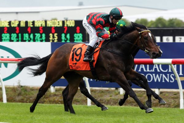 Dragon Leap continues down Derby trail