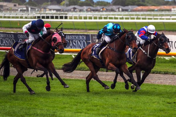 Duplicity shines in Metropolitan Trophy