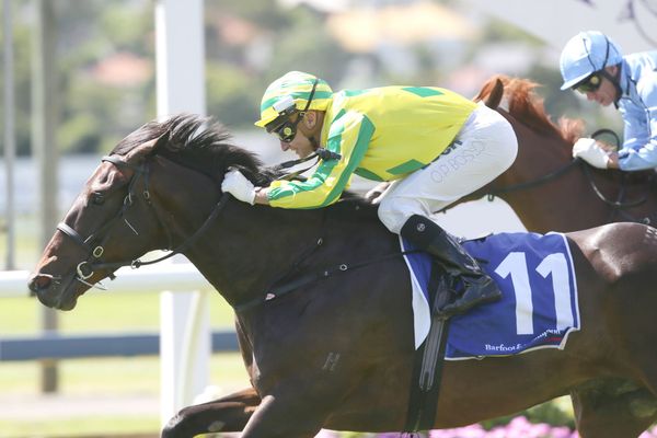 Go Nicholas aiming for three-peat