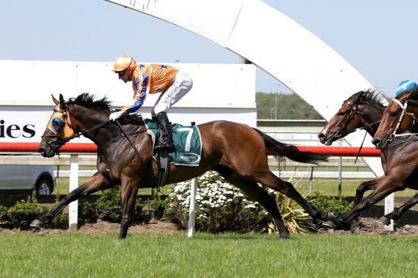 Bosson brilliance lands Counties Cup for Te Akau