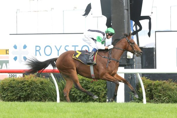 Kali spot on for Group One