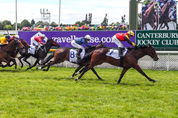 Fairy-tale week continues for Miller