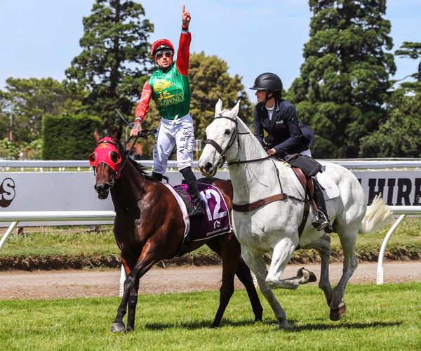 Cambridge couple make correct call with class filly