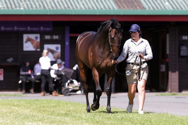 Williams secures sale topper