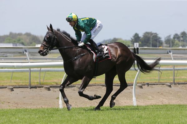 Stakes challenges for Brennan pair