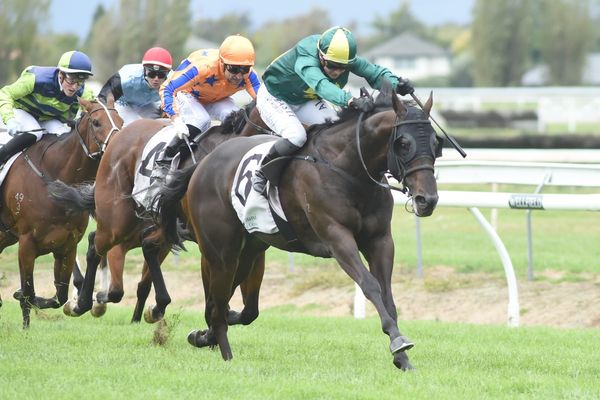 Life After Racing: Magnum Aiming for a Different Kind of Magic
