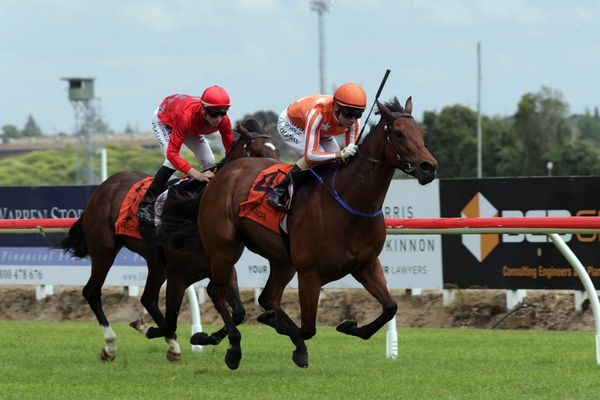 Media Sensation primed for Breeders’ Stakes