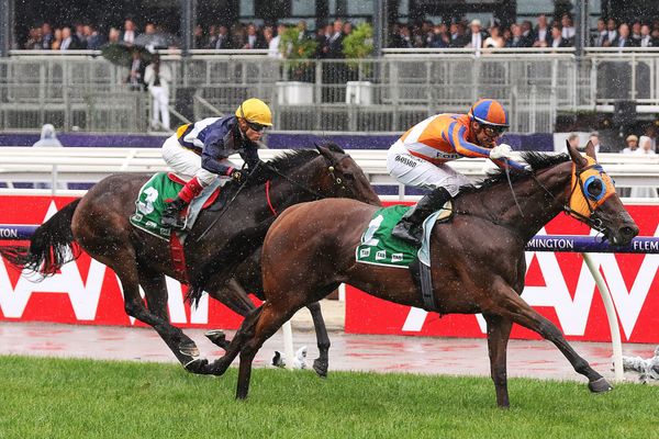 Mosgiel connection to the fore at Flemington
