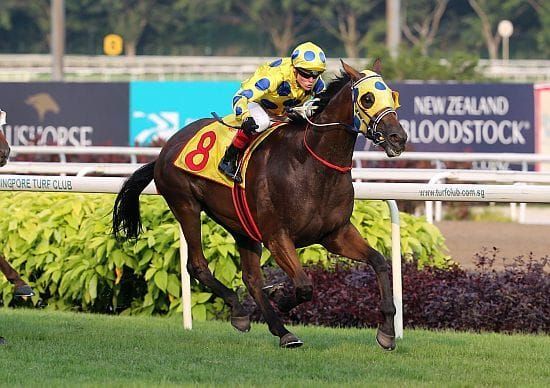 Williams and Mr Clint deliver in Singapore Gold Cup