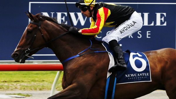 Villiers Stakes plan for House Of Cartier