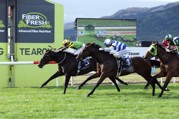 Nicoletta to tackle The Gong