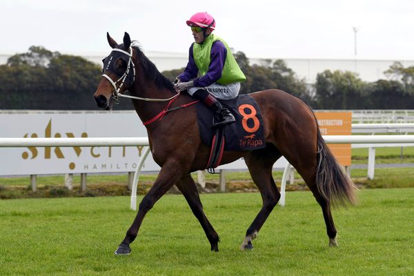 Derby prospects to contest Wellington Stakes