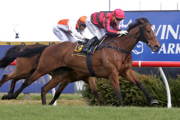 Hastings trainers in search of Auckland Pesos