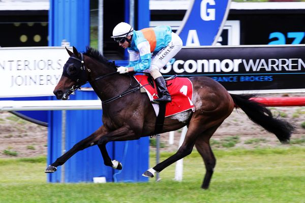 Riodini on Auckland Guineas path