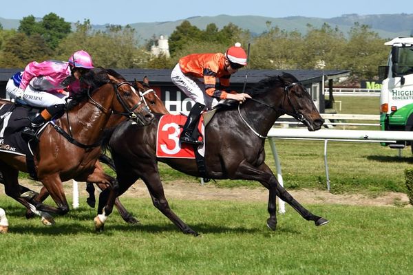 Rock On Wood resumes with stylish win at Awapuni