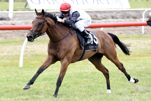Ellerslie return for Rondinella