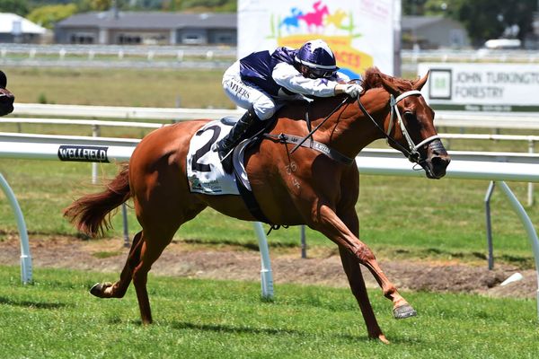 Karaka Million winner returns