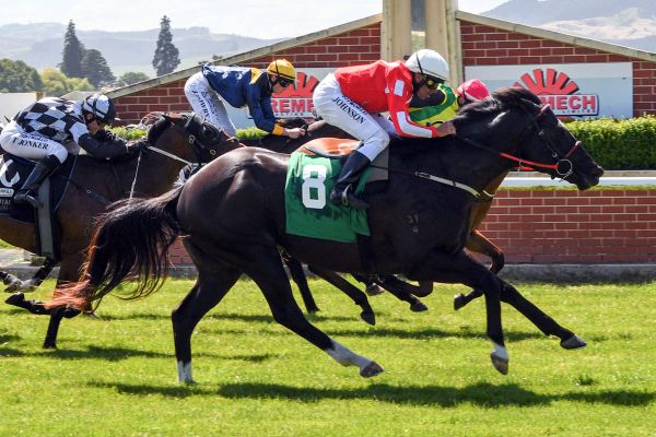 Pitman’s hold a strong hand at Riccarton