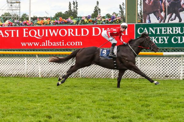 Sensei sensational in Riccarton dash