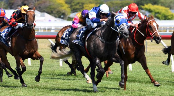 Oaks winner back in business at Wanganui