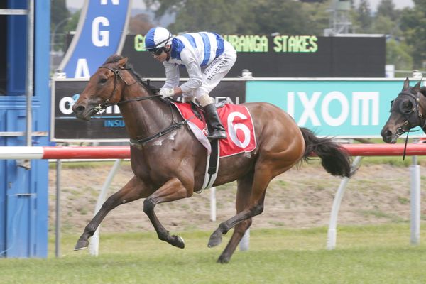 Supera dominant in Tauranga feature