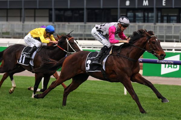 Surprise Baby on track for winning return