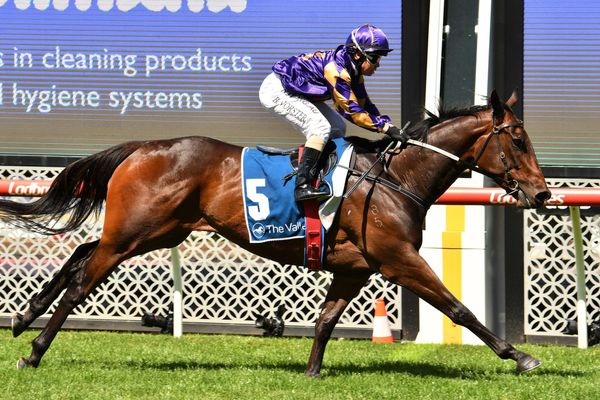 HK bound Talenti chasing three straight