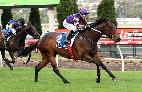 Talenti shows class at Valley