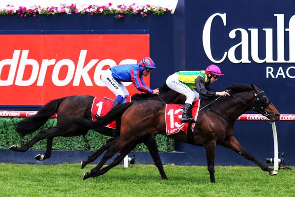 Gear change for Kiwi Cup hope