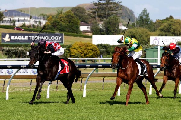 The Mitigator leads all the way in Ellerslie feature