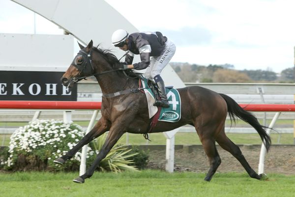 Ticket To Ride thriving ahead of Wingatui test
