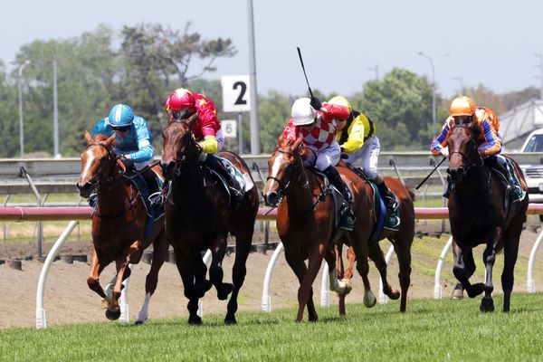 Unition takes out Pukekohe two-year-old feature on debut
