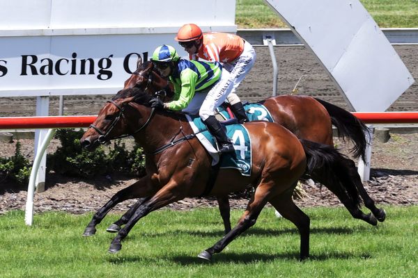 Yearn grabs deserved stakes success
