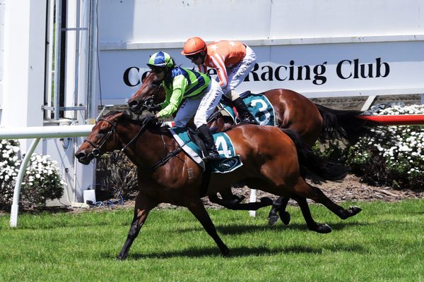 Yearn thriving ahead of local assignment