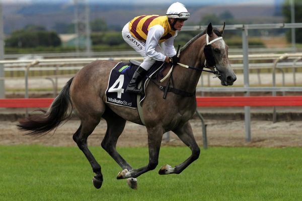 Eulogy Stakes opens options for exciting filly Aalaalune