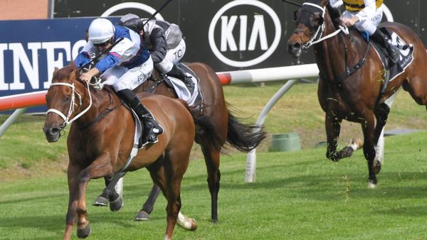 Alward back to favourite distance in Cup