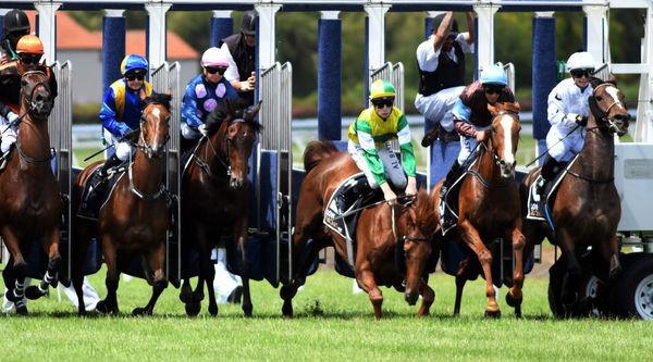 Starting gate stumble no barrier to Beauden