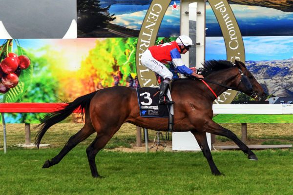 Camino Rocoso leads all the way in Cromwell Cup